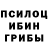 Псилоцибиновые грибы Psilocybine cubensis rj redom
