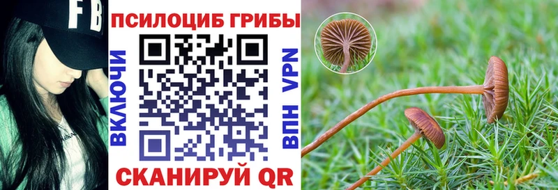 Псилоцибиновые грибы прущие грибы  KRAKEN маркетплейс  Минеральные Воды 
