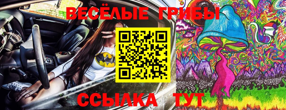 Галлюциногенные грибы Cubensis Минеральные Воды
