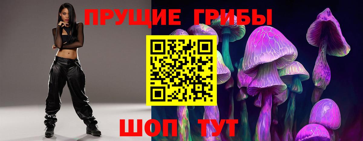 Минеральные Воды  даркнет сайт  Псилоцибиновые грибы Psilocybe  Вход с VPN  Галлюциногенные грибы прущие грибы 